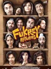 Fukrey Returns (2017) Hindi Full Movie Watch Online HD Print Free Download