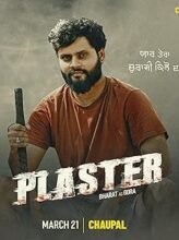 Plaster (2024) Punjabi Season 1 Complete Watch Online HD Print Free Download