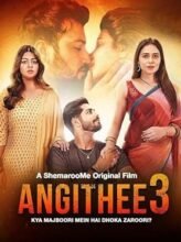 Angithee 3 (2024) Hindi Full Movie Watch Online HD Print Free Download