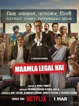 Maamla Legal Hai (2024) Hindi Season 1 Complete Watch Online HD Print Free Download